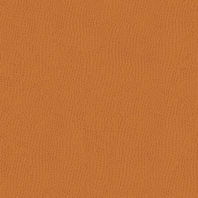 KRAVET SMART - OSSY-212