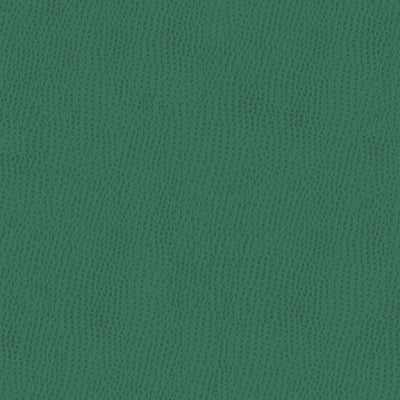 KRAVET FABRICS - BELUS-35