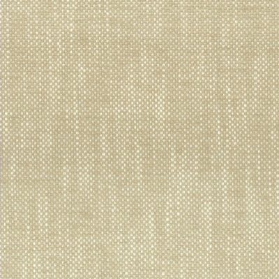 STOUT FABRICS-PANIC 1 CHAMPAGNE