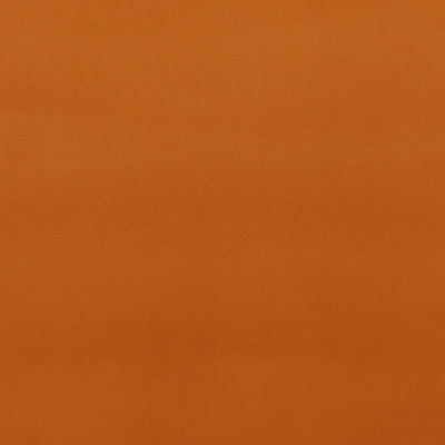BAKER LIFESTYLE - MONTPELLIER VELVET - SPICE