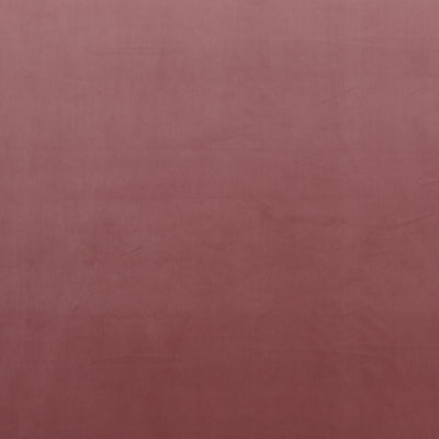 BAKER LIFESTYLE - MONTPELLIER VELVET - ROSE