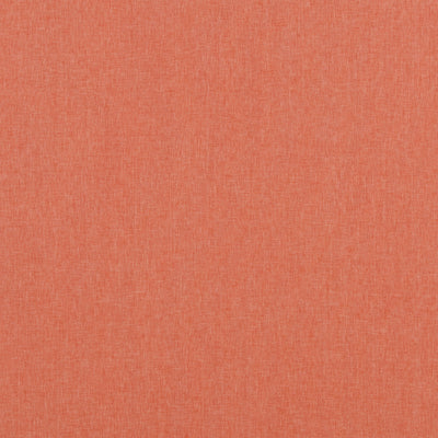 BAKER LIFESTYLE - CARNIVAL PLAIN - SPICE