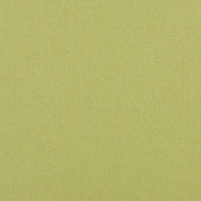 BAKER LIFESTYLE - CARNIVAL PLAIN - LIME
