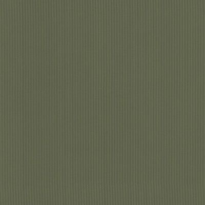 KASMIR FABRICS-PIETRA STRIPE - FERN