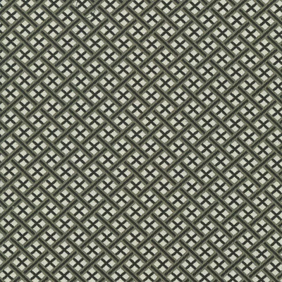 KASMIR FABRICS-PINEBROOK - GRAPHITE