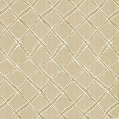 KASMIR FABRICS-PLEXUS - MARBLE