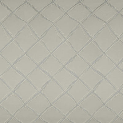 KASMIR FABRICS-PLEXUS - SILVER