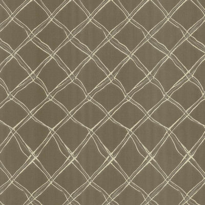KASMIR FABRICS-PLEXUS - STONE
