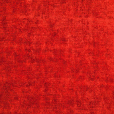 JF FABRICS-POSH-44J5831