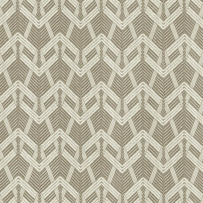 KASMIR FABRICS-PROJECTION - CARBON