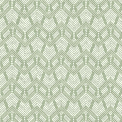 KASMIR FABRICS-PROJECTION - SPA