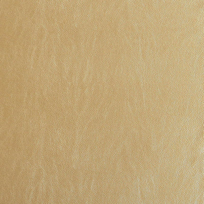 JF FABRICS-RAFIKI-18J7091
