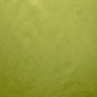 KASMIR FABRICS-RETROSPECTIVE - IGUANA