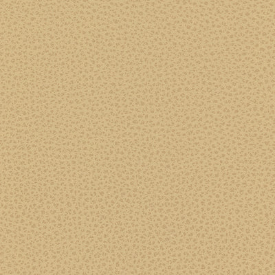 KRAVET DESIGN - RIGEL-16