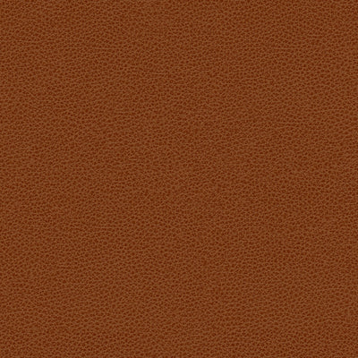 KRAVET FABRICS - BESS-24