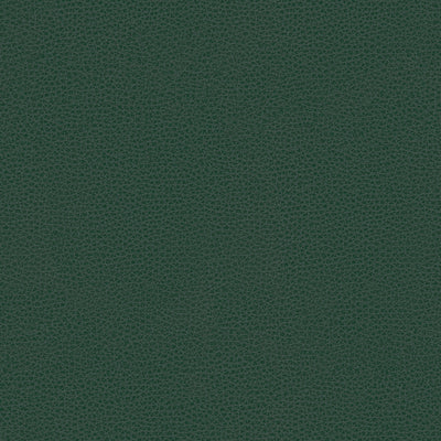 KRAVET DESIGN - RIGEL-5