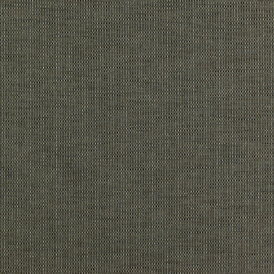 JF FABRICS-ROOKIE-43J7351