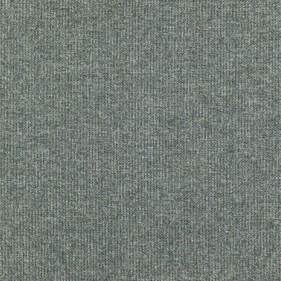 JF FABRICS-ROOKIE-64J7351