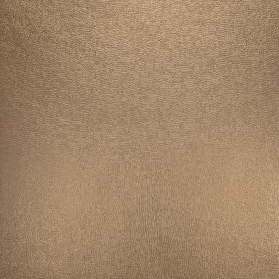 KASMIR FABRICS-ROYCE - CHAMPAGNE