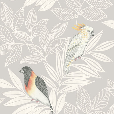 SEABROOK WALLPAPER-PARADISE ISLAND BIRDS-DAYDREAM GRAY AND IVORY-RY30100