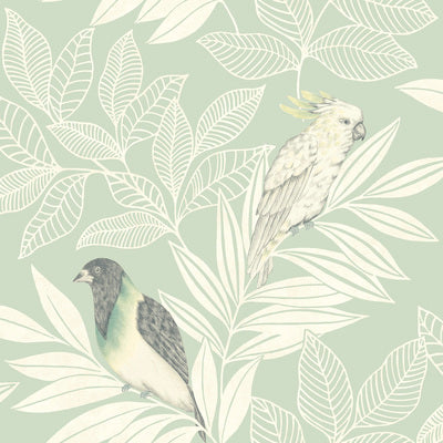 SEABROOK WALLPAPER-PARADISE ISLAND BIRDS-MINT AND IVORY-RY30104