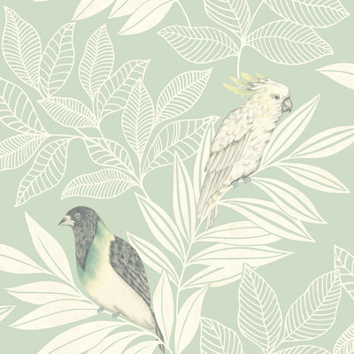 SEABROOK WALLPAPER-PARADISE ISLAND BIRDS-MINT AND IVORY-RY30104