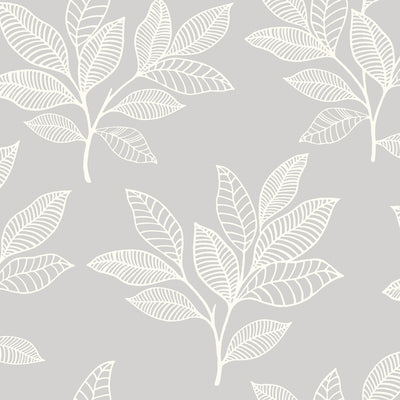 SEABROOK WALLPAPER-PARADISE LEAVES-DAYDREAM GRAY-RY30800
