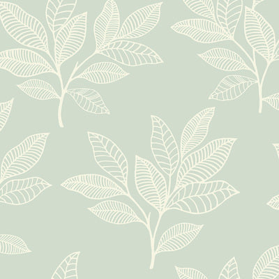 SEABROOK WALLPAPER-PARADISE LEAVES-MINT-RY30804