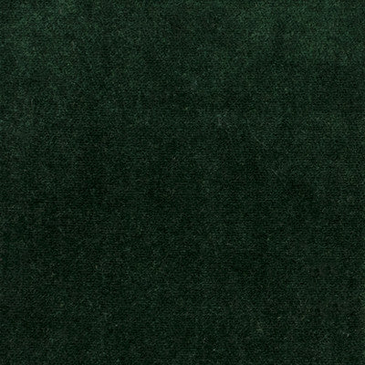 Greenhouse Fabrcs, a selection of fabrics such as  Velvet,Texture,Solid.