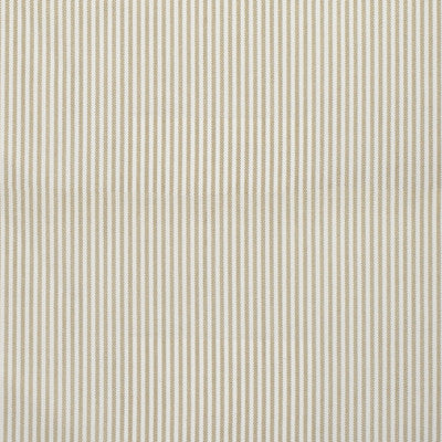 Greenhouse Fabrcs, a selection of fabrics such as  Tropical, Stripes.