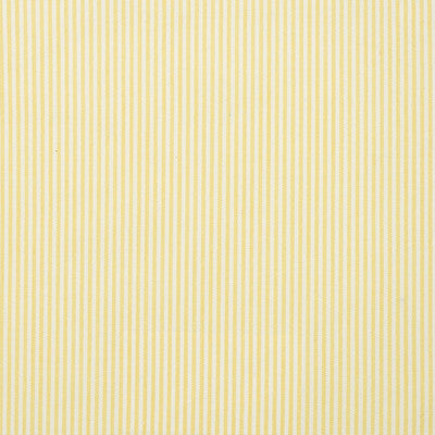 Greenhouse Fabrcs, a selection of fabrics such as  Stripes.