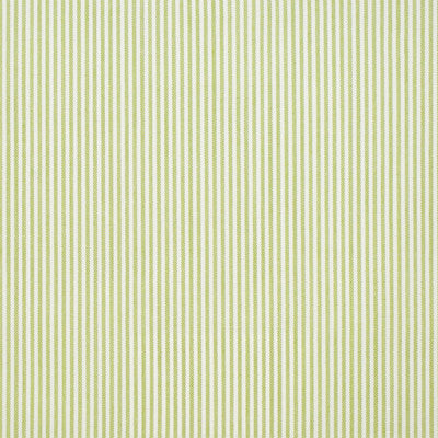 Greenhouse Fabrcs, a selection of fabrics such as  Stripes.