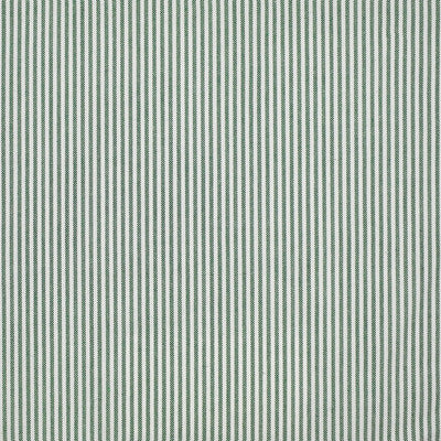 Greenhouse Fabrcs, a selection of fabrics such as  Stripes.