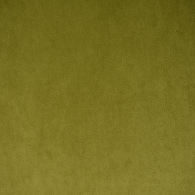 Greenhouse Fabrcs, a selection of fabrics such as  Velvet,Texture,Solid.