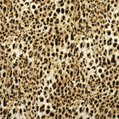 Greenhouse Fabrcs, a selection of fabrics such as  Prints,Animal/Insect.