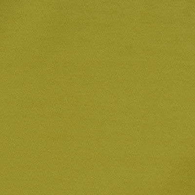 Greenhouse Fabrcs, a selection of fabrics such as  Solid.