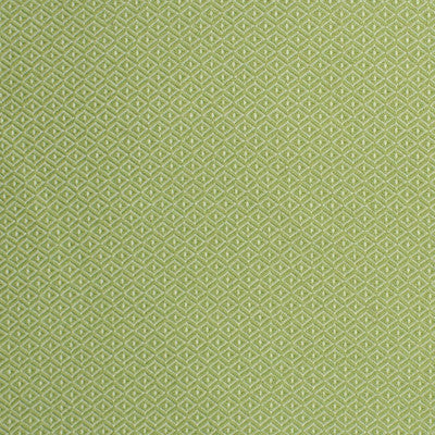 Greenhouse Fabrcs, a selection of fabrics such as  Diamond.