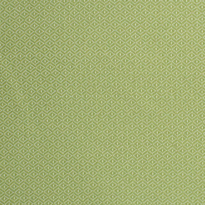 GREENHOUSE FABRICS -S2246 LAWN