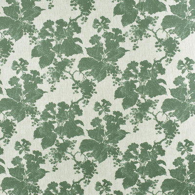 Greenhouse Fabrcs, a selection of fabrics such as  Floral.