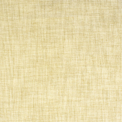 Greenhouse Fabrcs, a selection of fabrics such as  Texture,Solid.