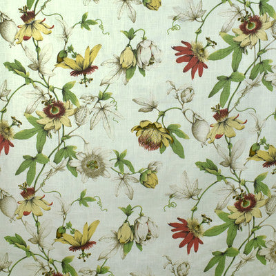 Greenhouse Fabrcs, a selection of fabrics such as  Prints,Floral.