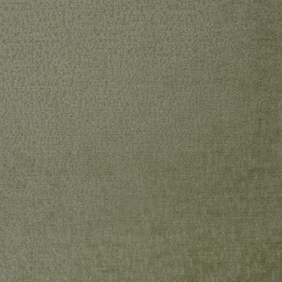 Greenhouse Fabrcs, a selection of fabrics such as  Solid.