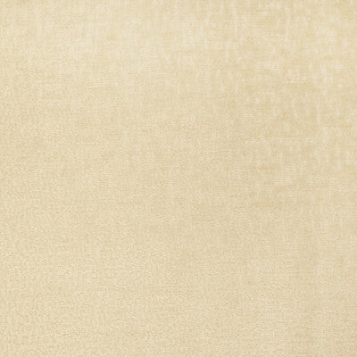 Greenhouse Fabrcs, a selection of fabrics such as  Solid.