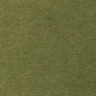 Greenhouse Fabrcs, a selection of fabrics such as  Solid.