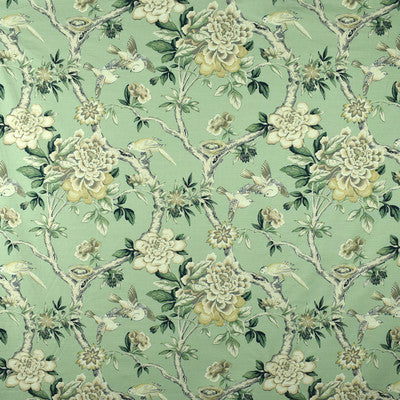 Greenhouse Fabrcs, a selection of fabrics such as  Prints,Floral.