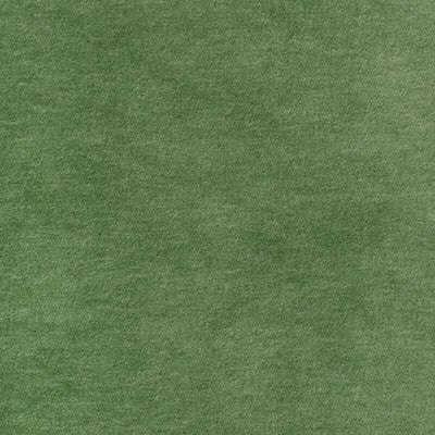 Greenhouse Fabrcs, a selection of fabrics such as  Solid.
