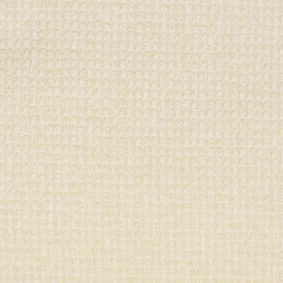 GREENHOUSE FABRICS -S2893 CLOUD