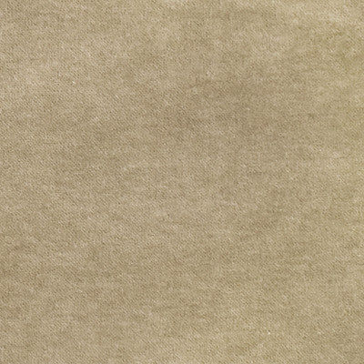 Greenhouse Fabrcs, a selection of fabrics such as  Solid.
