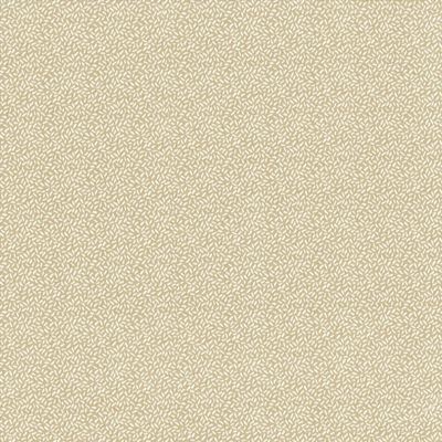 Kasmir Fabrics , a selection of fabrics such as velvet, damask, cotton, silk, linen and sheers.