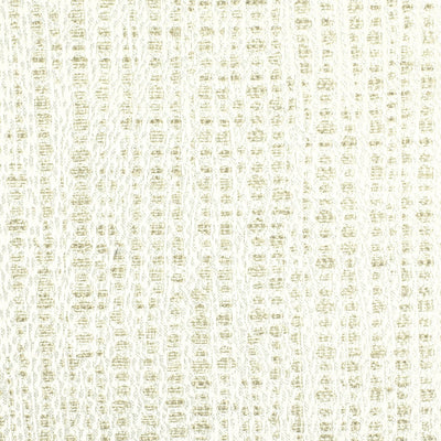 STOUT FABRICS-SENSATIONAL 1 BISCUIT